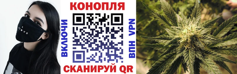 Шишки марихуана LSD WEED Пугачёв